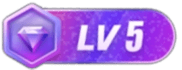 等级-LV5-格斗艺术