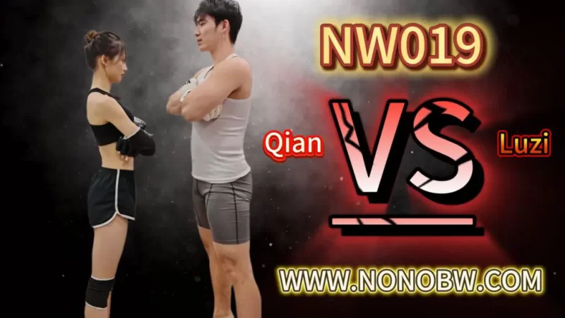 NW019-格斗艺术