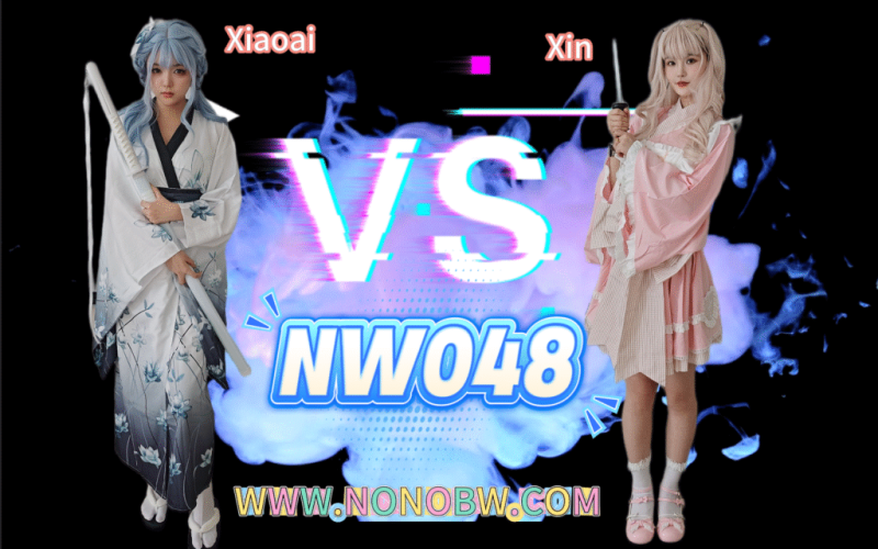 NW048-格斗艺术