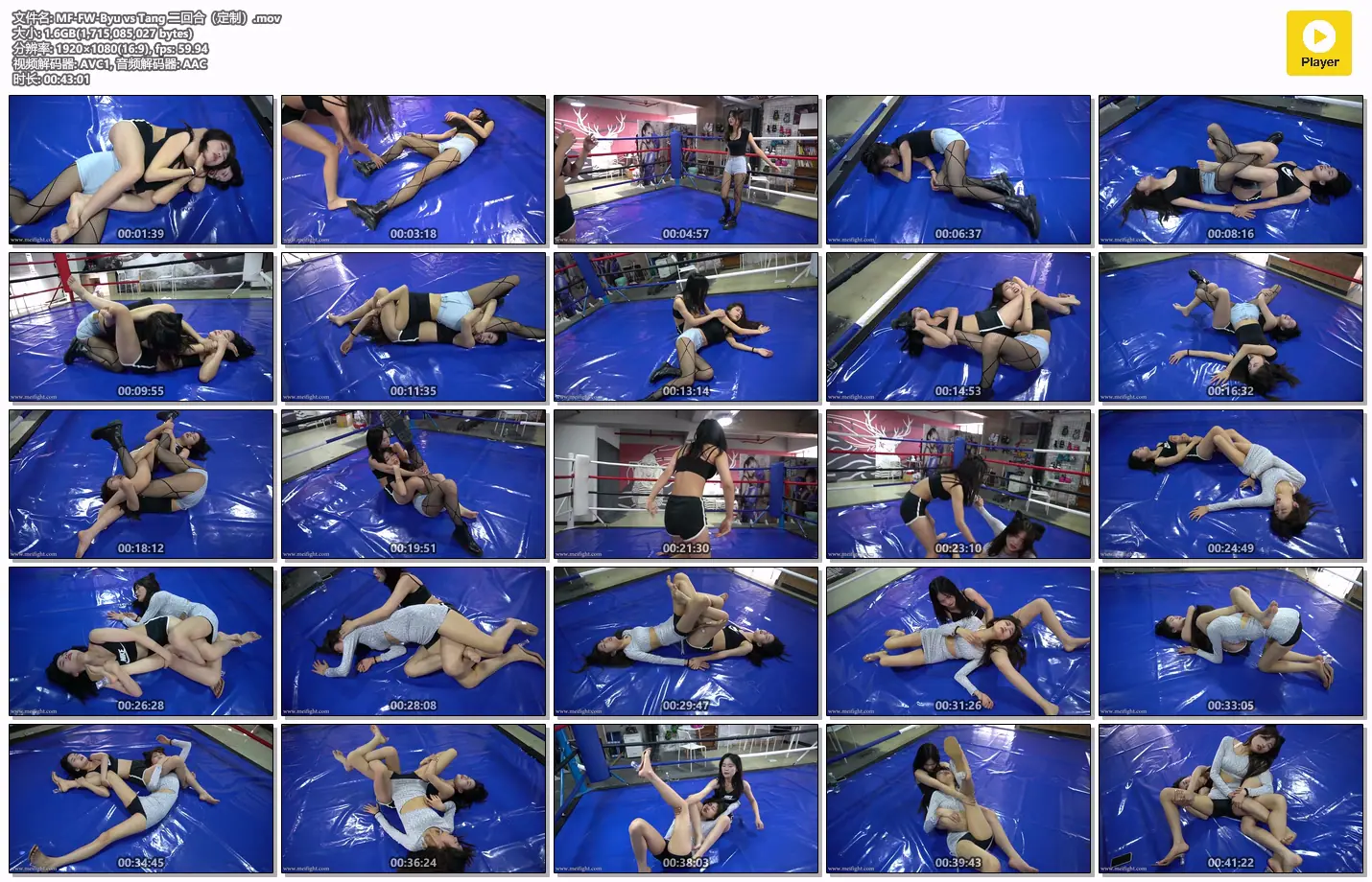 定拍 tang vs byu 二回合