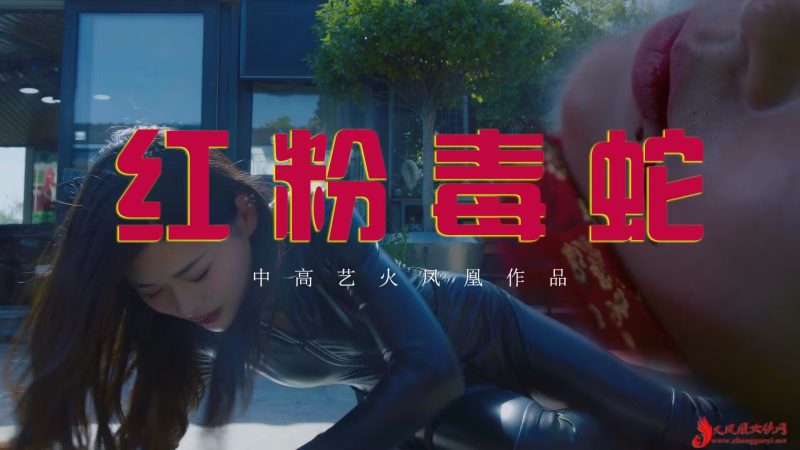 格斗艺术社