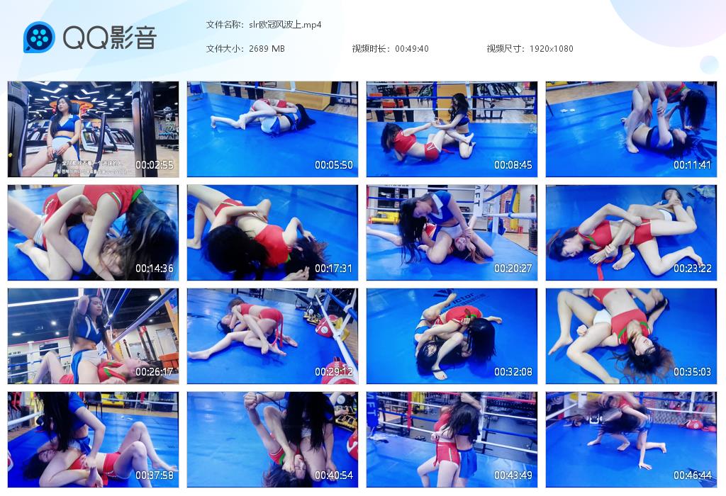 slr欧冠风波上
