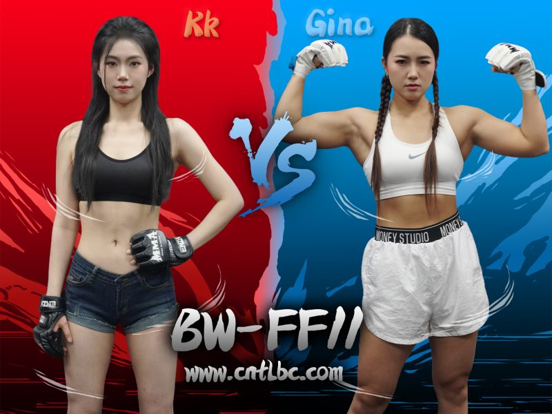 BW-FF11-Kk-VS-Gina-格斗艺术