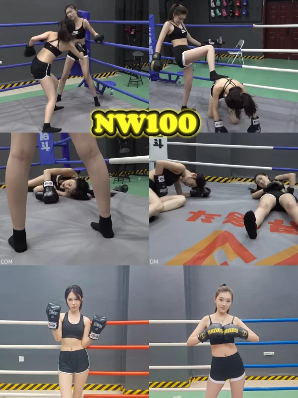 NW100-格斗艺术