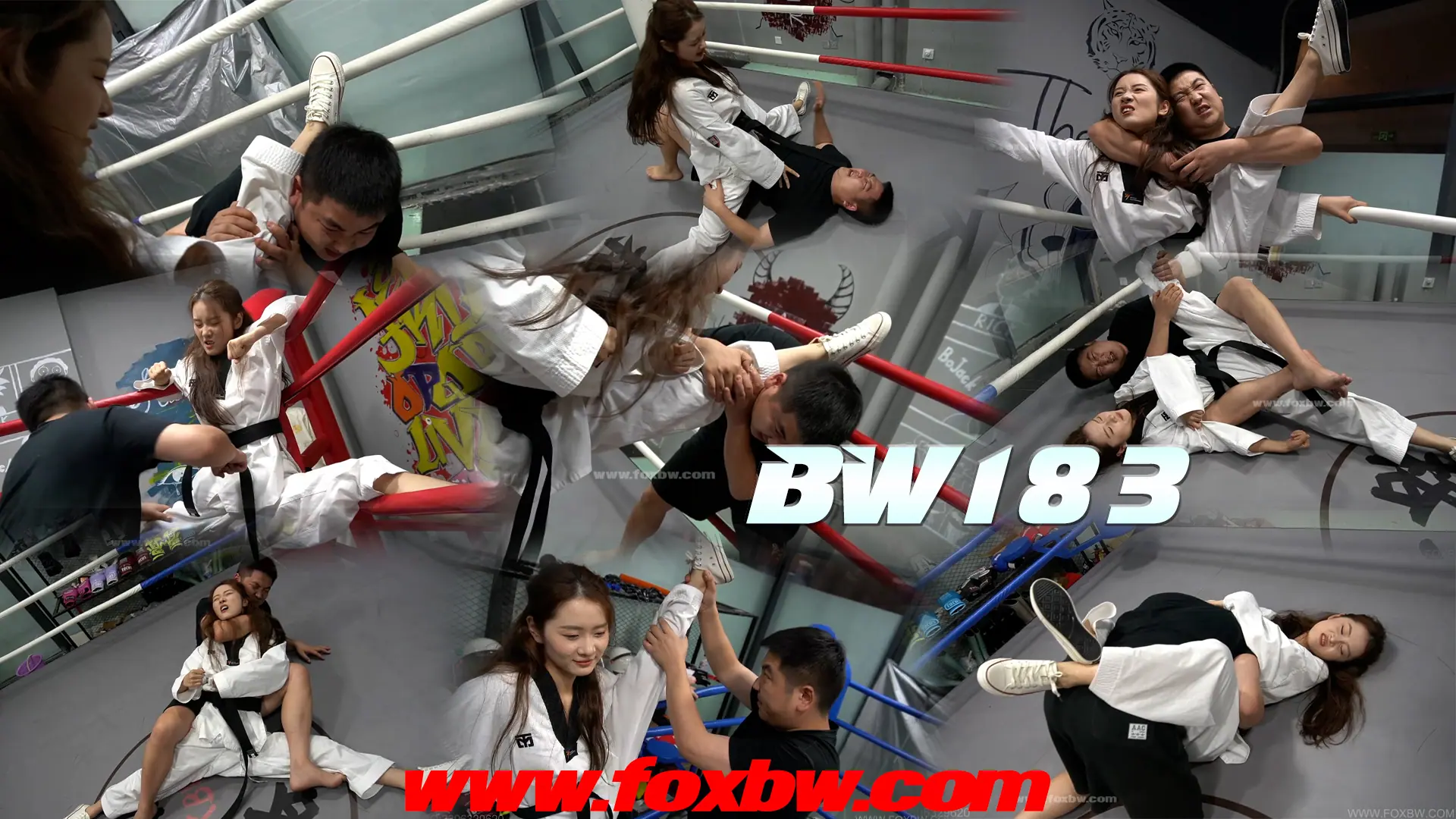 格斗艺术社
