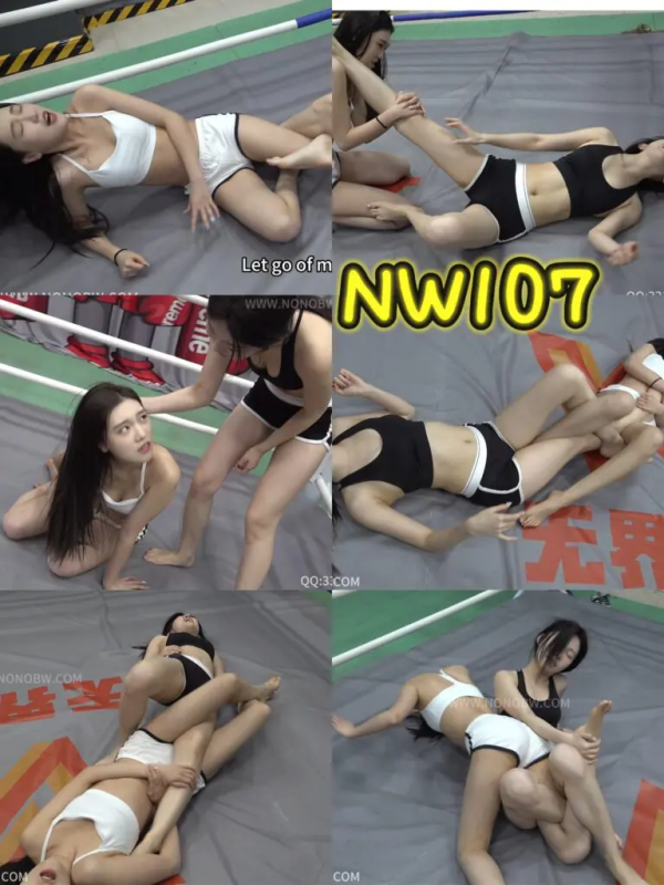 NW107-格斗艺术