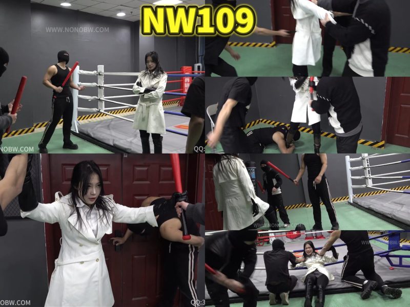 NW109-格斗艺术