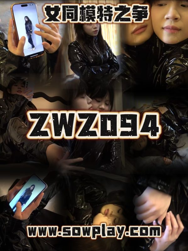 Z094 fuyao VS mini-格斗艺术