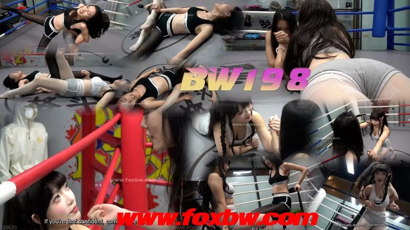 BW—198 fanfan VS xiaowei-格斗艺术