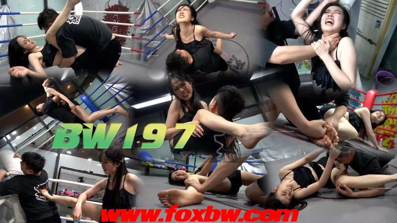 BW-197-格斗艺术