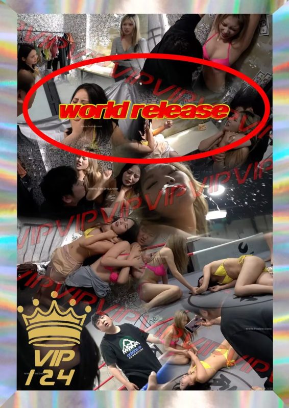 VIP—124（全球发行）-格斗艺术