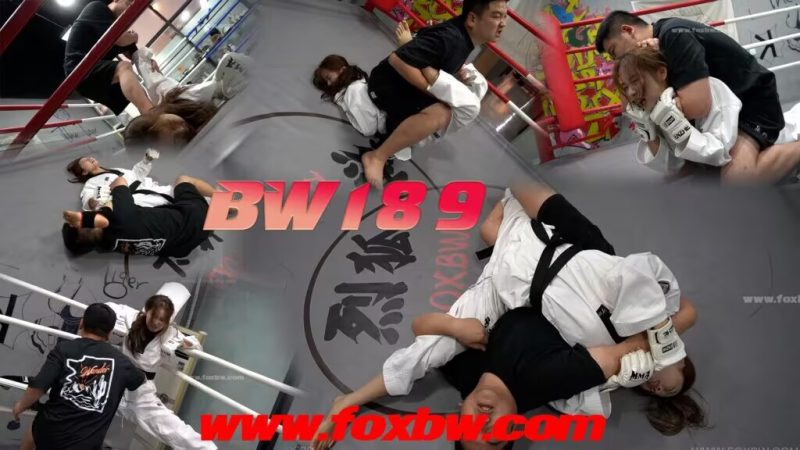 BW189-格斗艺术